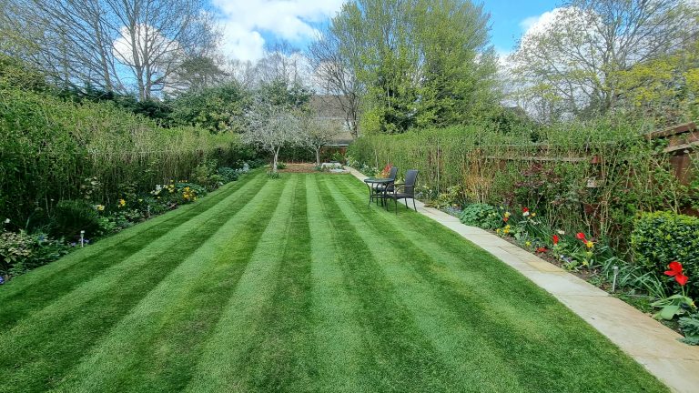 Garden Maintenance