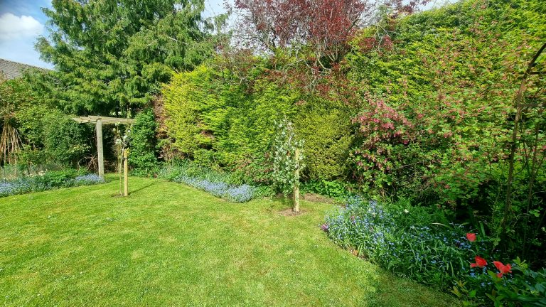 Garden Maintenance