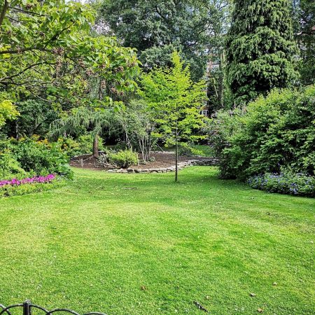 How your garden could look How your garden could look